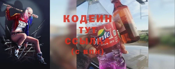 мет Алексин