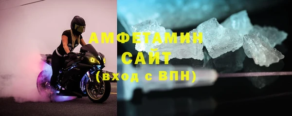мет Алексин