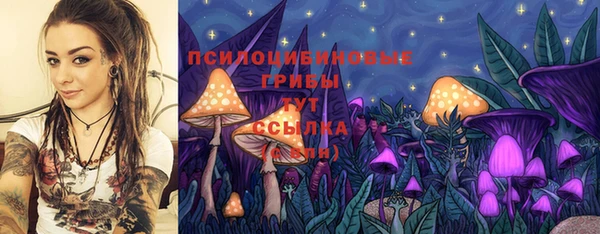 мет Алексин