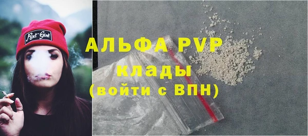 мет Алексин