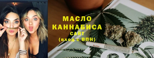мет Алексин