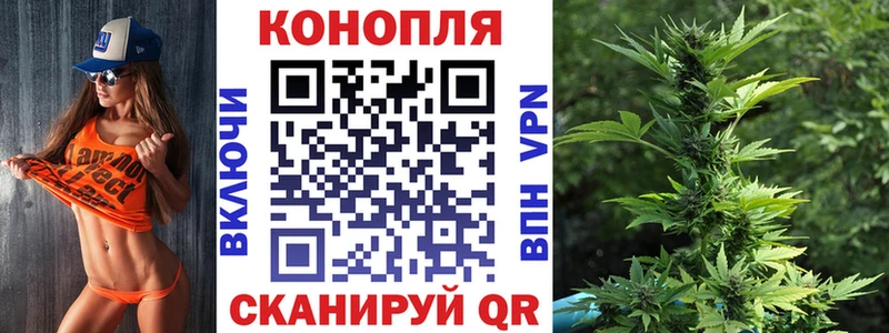 Каннабис план купить Старая Купавна